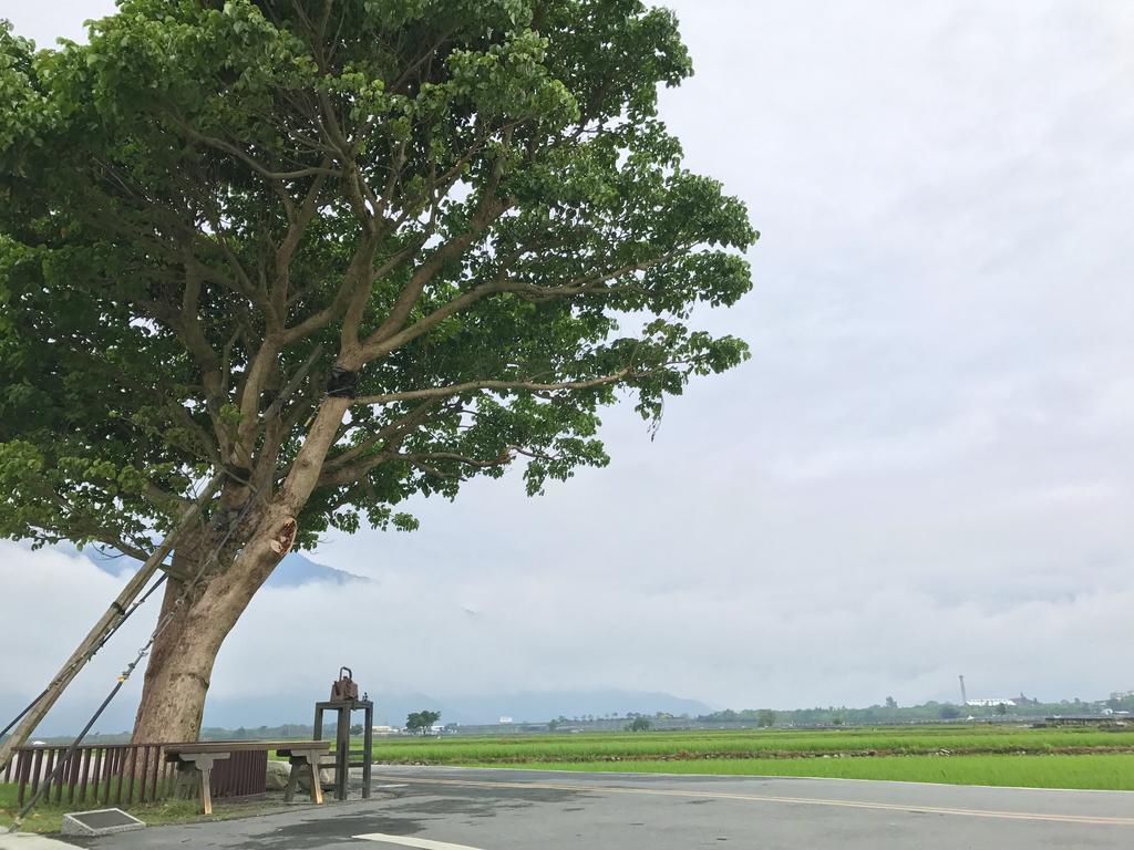 玉蟾園民宿 寵物友善 Yuchanyuan B&B Chishang Extérieur photo
