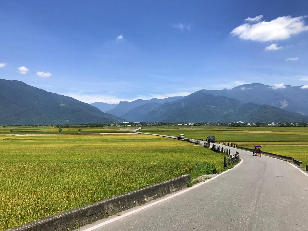 玉蟾園民宿 寵物友善 Yuchanyuan B&B Chishang Extérieur photo